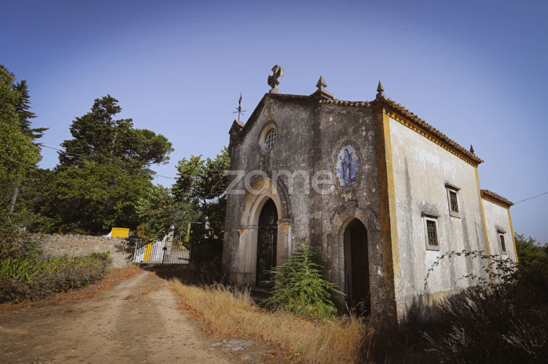 Quinta T7 para Venda em Carapinheira Foto 15