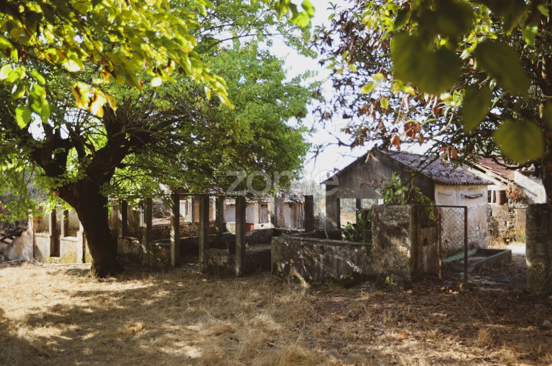 Quinta T7 para Venda em Carapinheira Foto 22