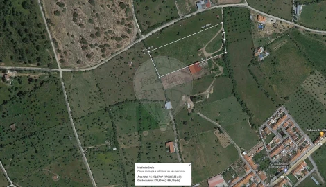 Terreno para Venda em Alcaçovas