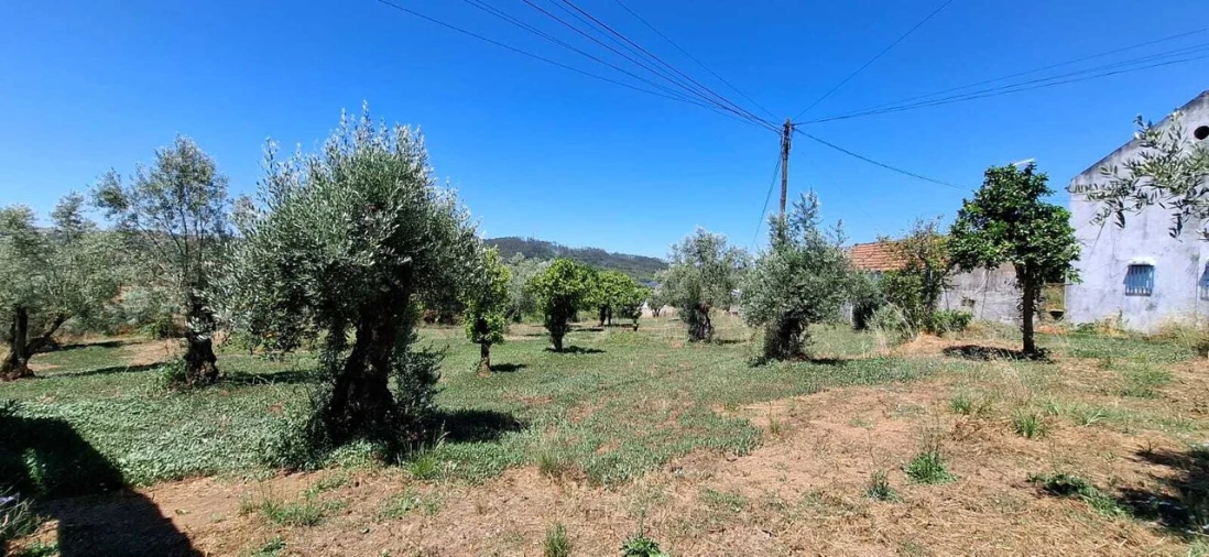 Moradia T3 para Venda em Areias e Pias Foto 4