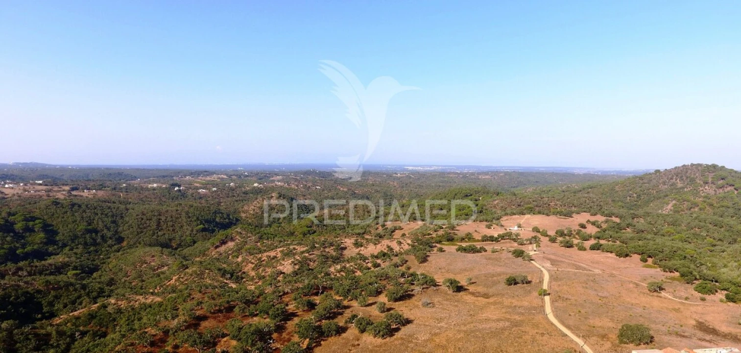 Terreno para Venda em São Francisco da Serra Foto 1