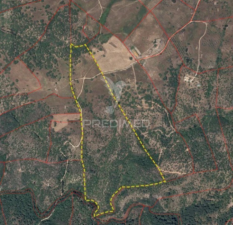 Terreno para Venda em São Francisco da Serra Foto 9