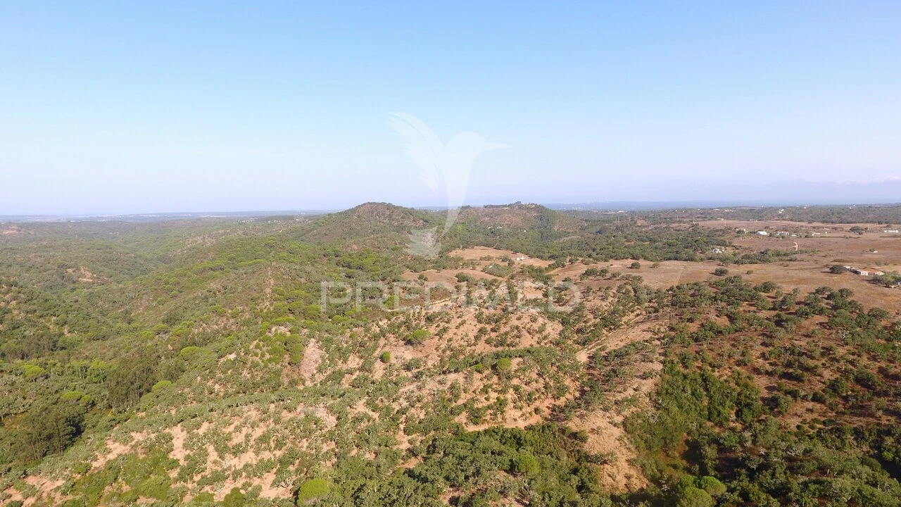 Terreno para Venda em São Francisco da Serra Foto 7