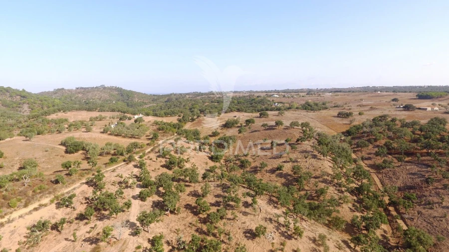 Terreno para Venda em São Francisco da Serra Foto 8