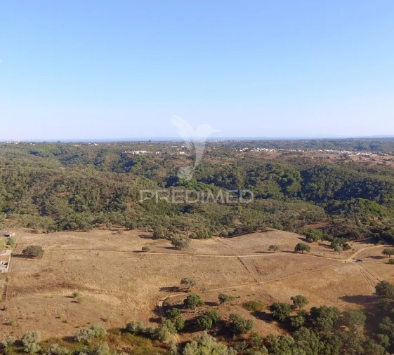 Terreno para Venda em São Francisco da Serra Foto 3