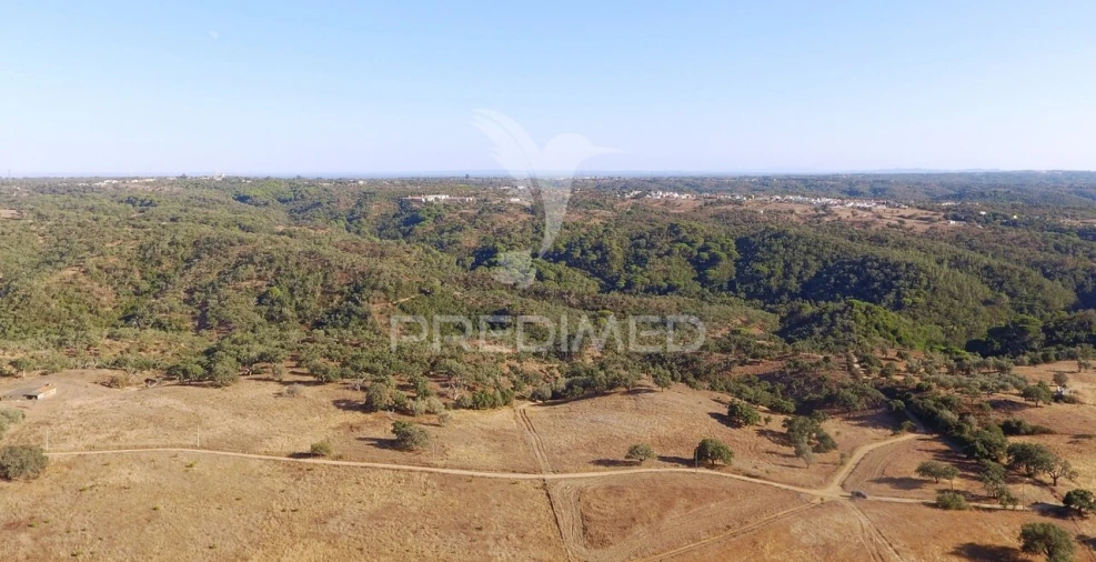 Terreno para Venda em São Francisco da Serra Foto 2