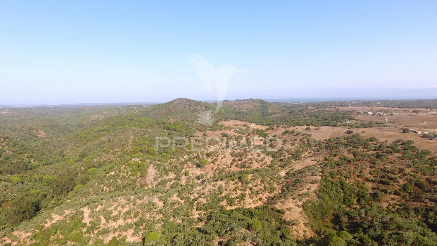 Terreno para Venda em São Francisco da Serra Foto 7