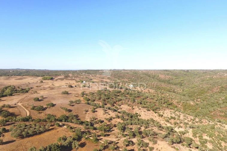 Terreno para Venda em São Francisco da Serra Foto 5
