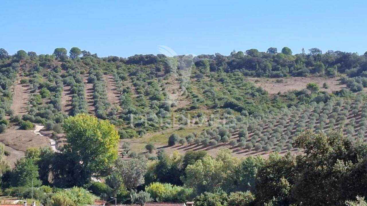 Terreno para Venda em Malhou, Louriceira e Espinheiro Foto 2
