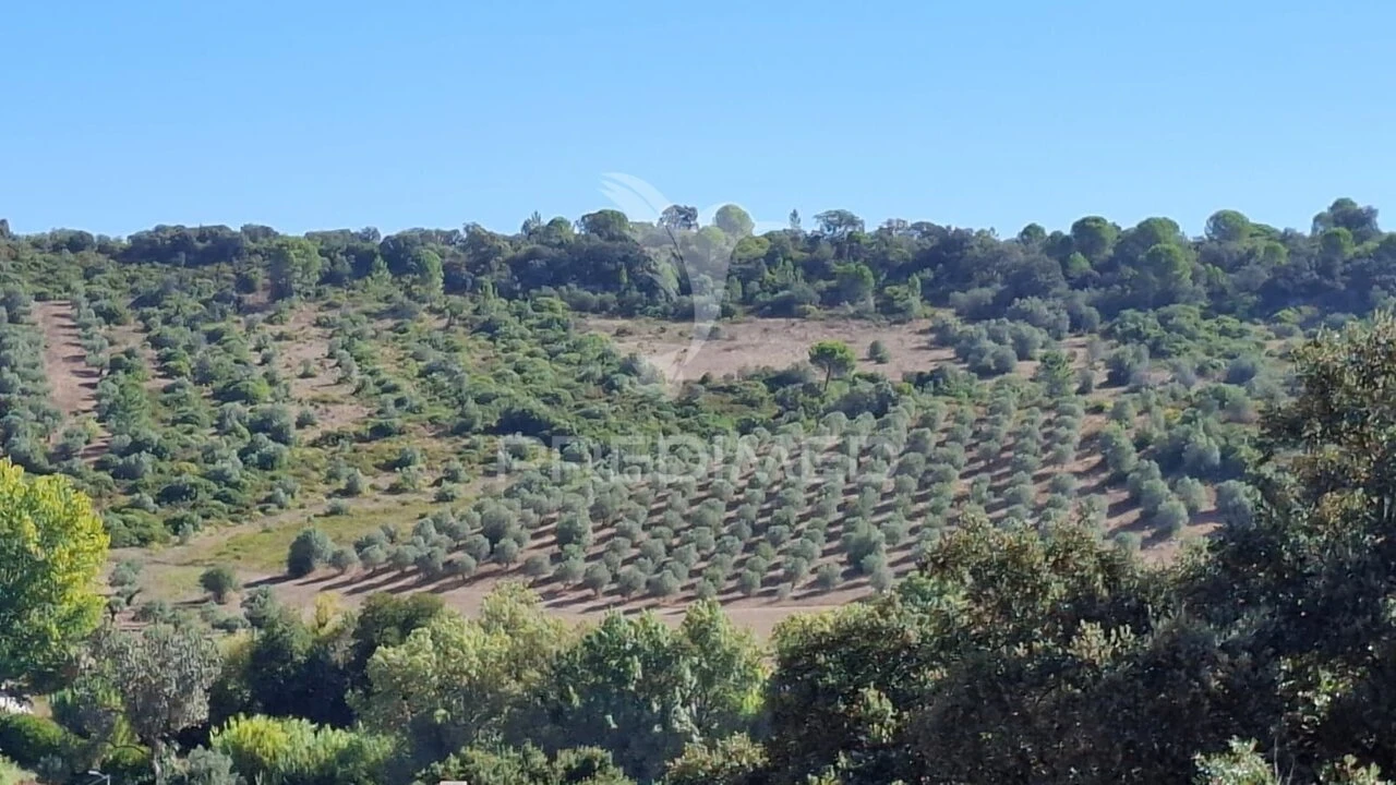 Terreno para Venda em Malhou, Louriceira e Espinheiro Foto 7
