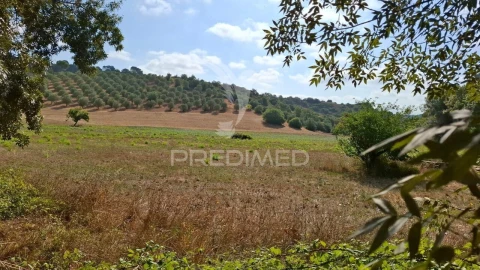 Terreno para Venda em Malhou, Louriceira e Espinheiro