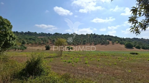 Terreno para Venda em Malhou, Louriceira e Espinheiro