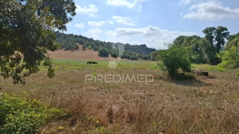 Terreno para Venda em Malhou, Louriceira e Espinheiro