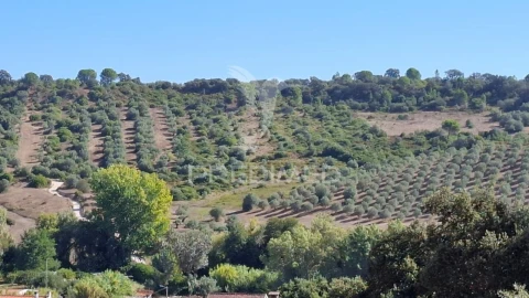 Terreno para Venda em Malhou, Louriceira e Espinheiro