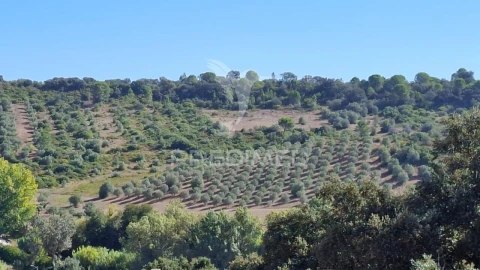 Terreno para Venda em Malhou, Louriceira e Espinheiro