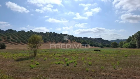 Terreno para Venda em Malhou, Louriceira e Espinheiro