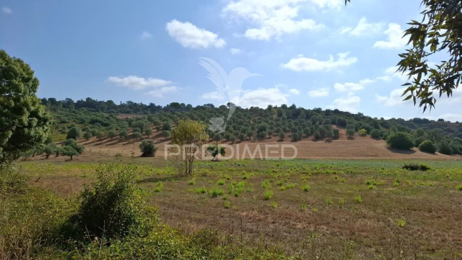 Terreno para Venda em Malhou, Louriceira e Espinheiro Foto 5