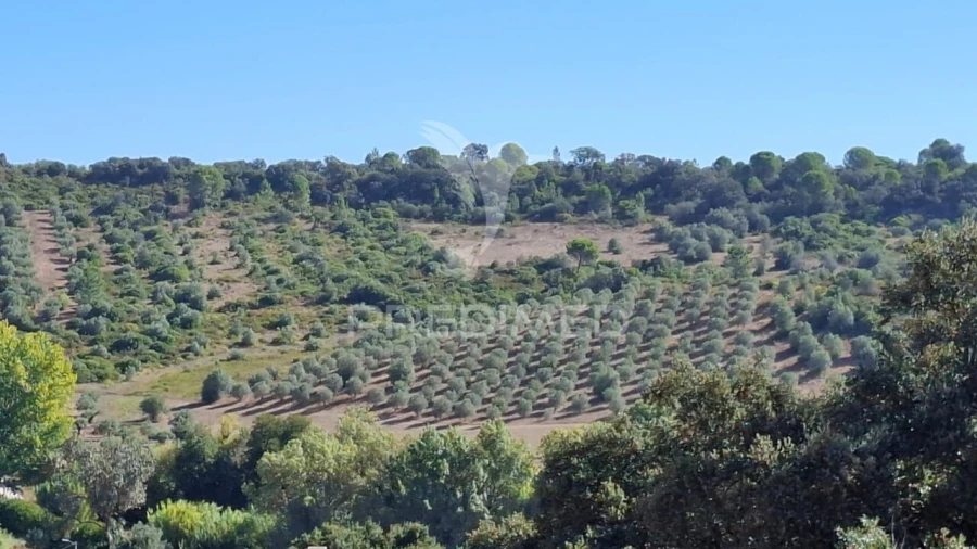 Terreno para Venda em Malhou, Louriceira e Espinheiro Foto 7