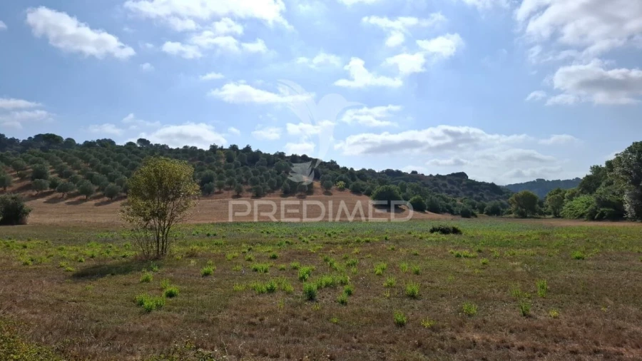 Terreno para Venda em Malhou, Louriceira e Espinheiro Foto 4