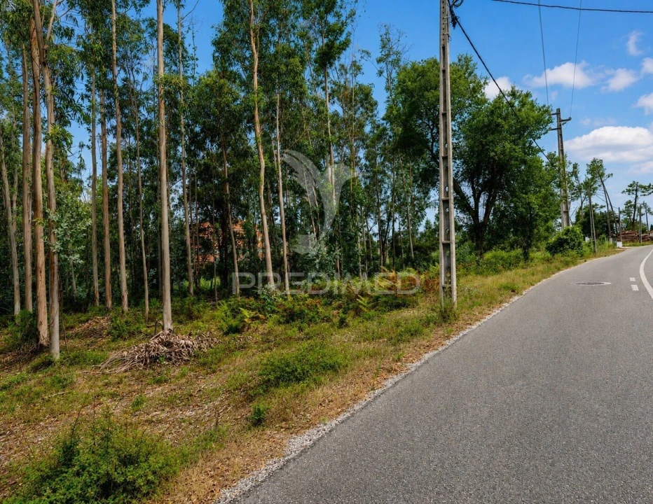 Terreno para Venda em Maceira Foto 5