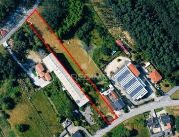 Terreno para Venda em Maceira