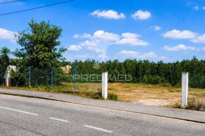 Terreno para Venda em Maceira