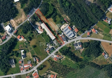 Terreno para Venda em Maceira