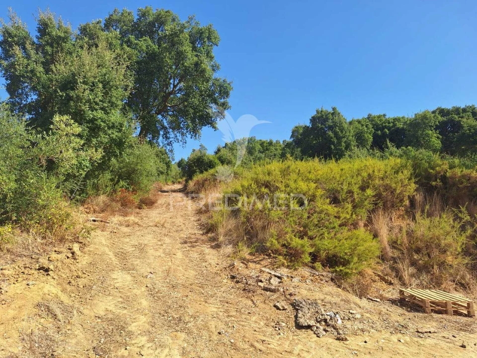 Armazém para Arrendamento em Aveiras de Cima Foto 7