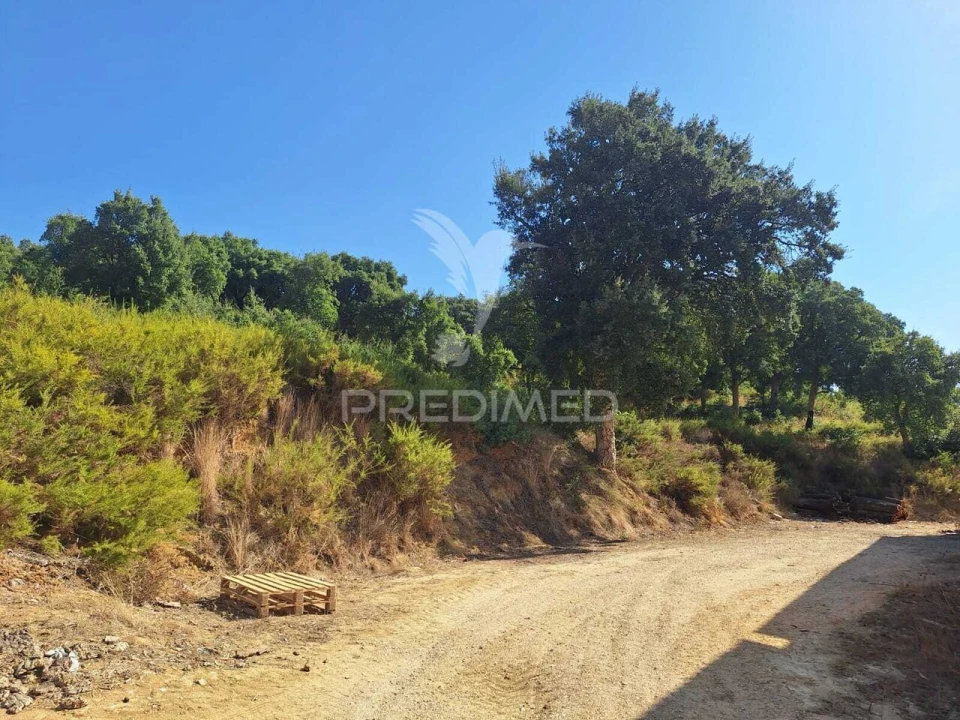 Armazém para Arrendamento em Aveiras de Cima Foto 8