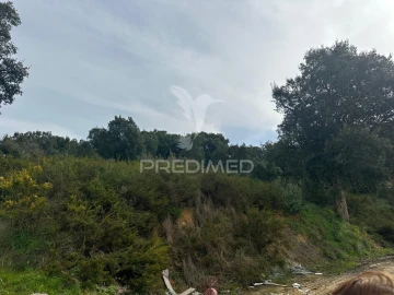 Armazém para Arrendamento em Aveiras de Cima