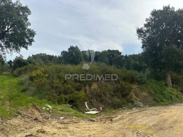 Armazém para Arrendamento em Aveiras de Cima