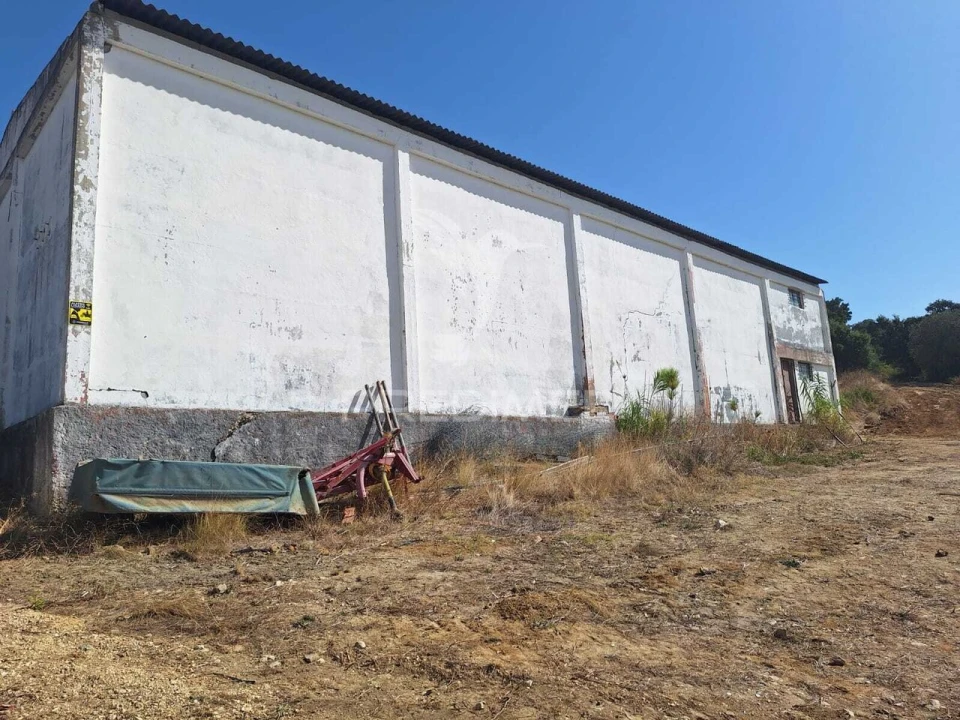 Armazém para Arrendamento em Aveiras de Cima Foto 2