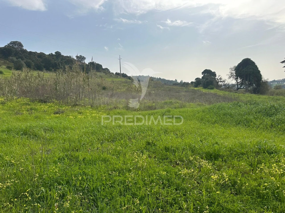 Armazém para Arrendamento em Aveiras de Cima Foto 9