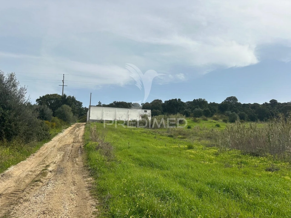 Armazém para Arrendamento em Aveiras de Cima Foto 1