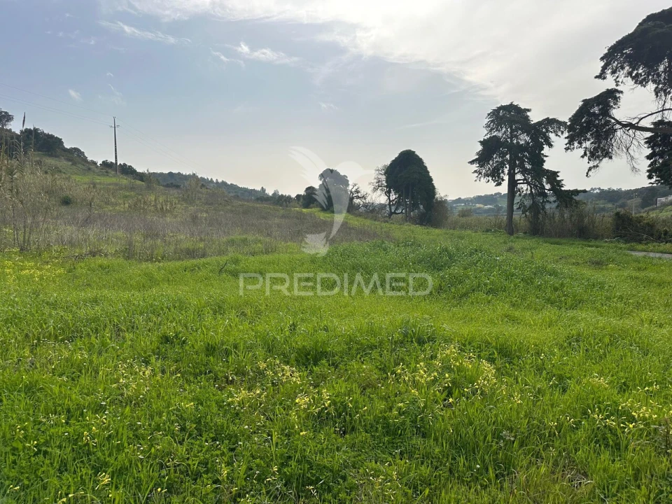 Armazém para Arrendamento em Aveiras de Cima Foto 10