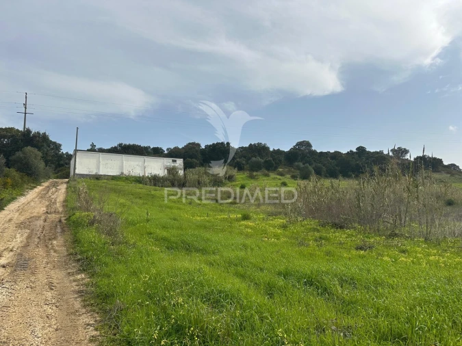 Armazém para Arrendamento em Aveiras de Cima Foto 18