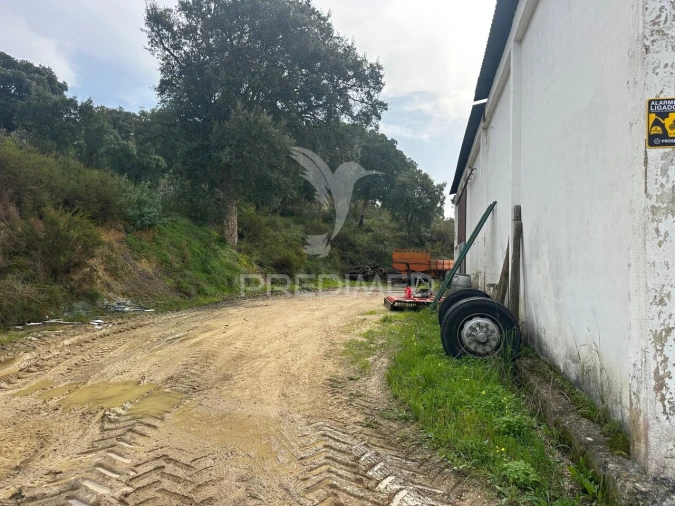Armazém para Arrendamento em Aveiras de Cima Foto 15