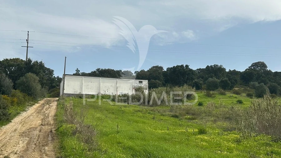 Armazém para Arrendamento em Aveiras de Cima