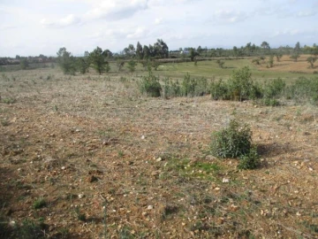 Terreno para Venda em Benquerenças