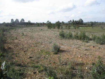 Terreno para Venda em Benquerenças
