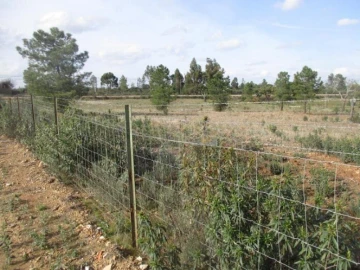Terreno para Venda em Benquerenças