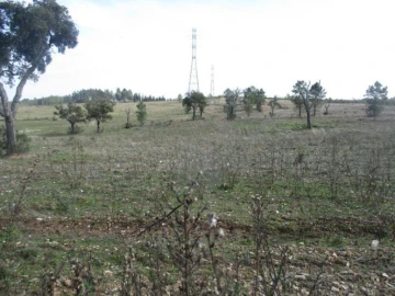 Terreno para Venda em Benquerenças