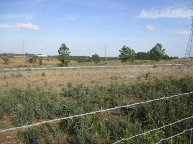 Terreno para Venda em Benquerenças Foto 3