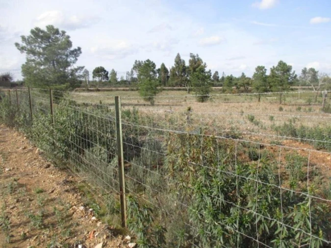 Terreno para Venda em Benquerenças Foto 4
