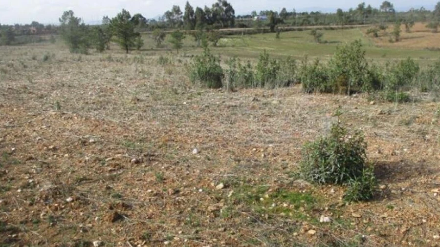 Terreno para Venda em Benquerenças