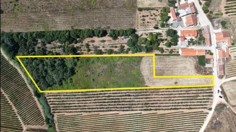 Terreno para Venda em A dos Francos