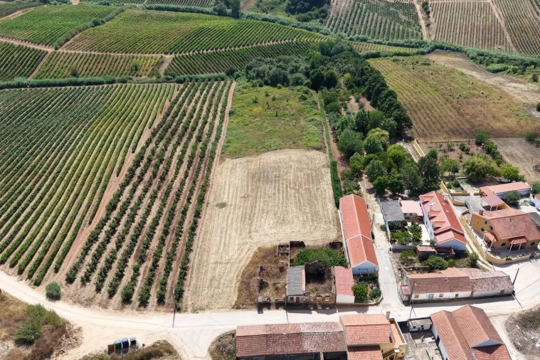 Terreno para Venda em A dos Francos Foto 8