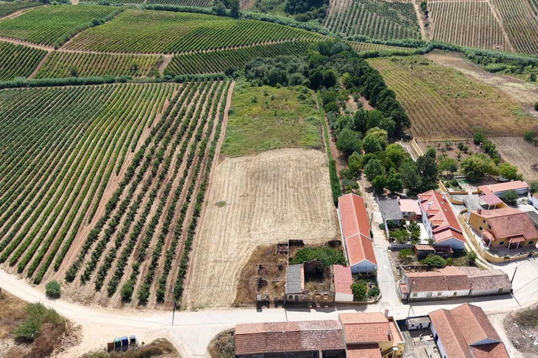 Terreno para Venda em A dos Francos Foto 8