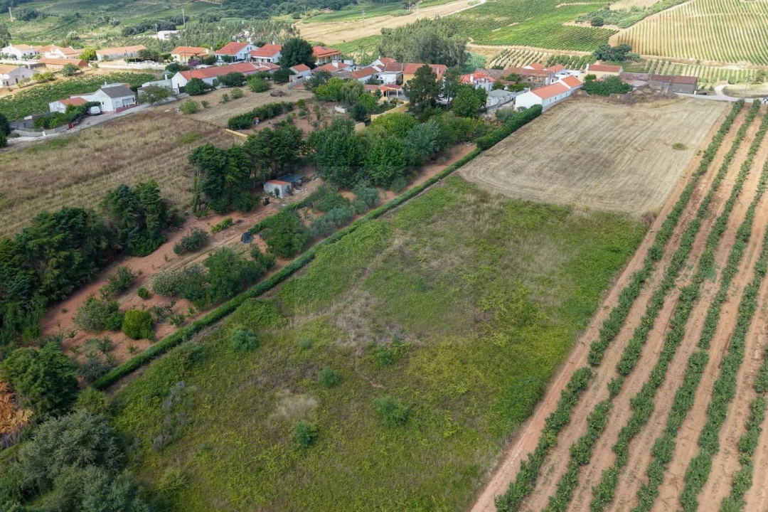 Terreno para Venda em A dos Francos Foto 3