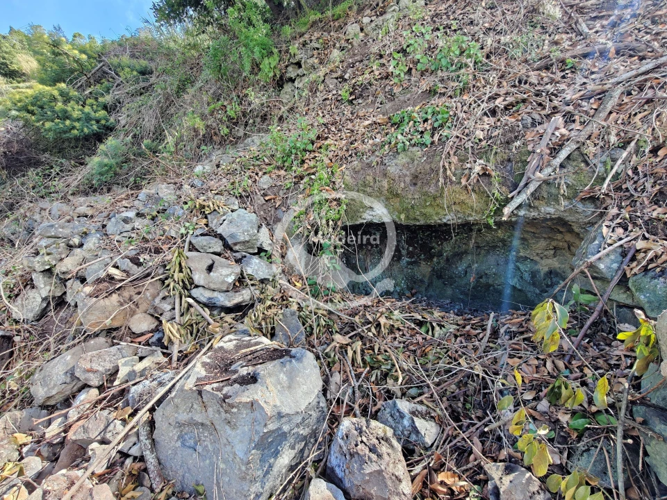 Terreno para Venda em Tabua Foto 7